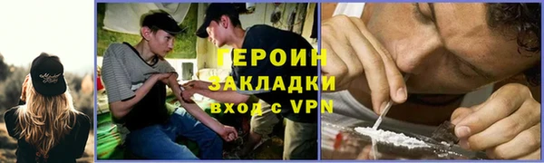 прущие грибы Надым