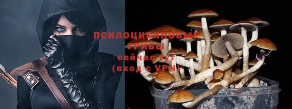 дживик Нефтегорск