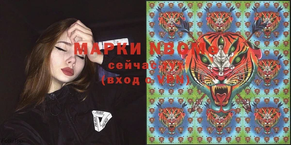 прущие грибы Надым