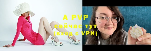дживик Нефтегорск