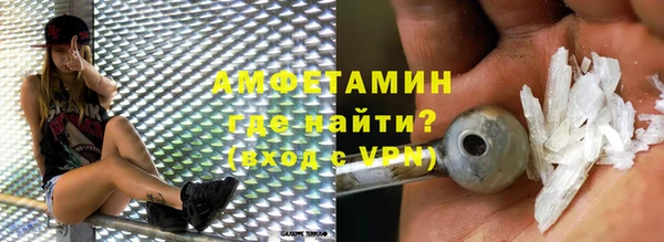прущие грибы Надым