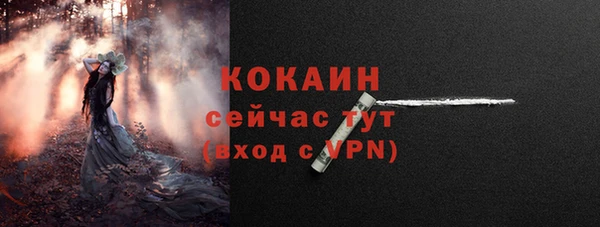 прущие грибы Надым