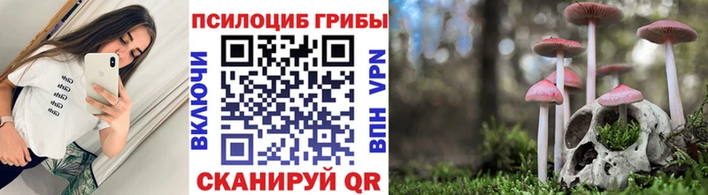 Купить закладки  Кунгур  Псилоцибиновые грибы Cubensis 