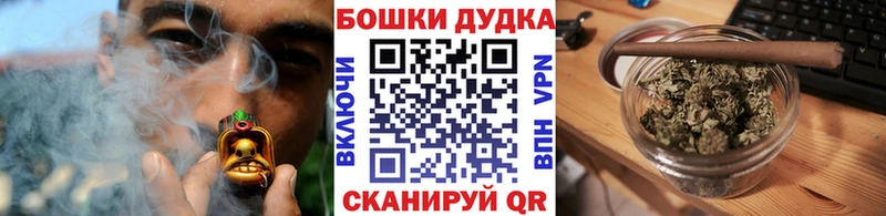 Конопля сатива  Купить закладки  Кунгур 